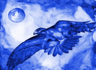 Blue Hawk Moon-vlucht door RodMacIver