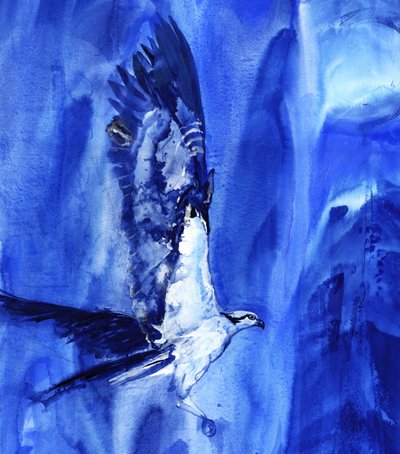 Vliegende blauwe visarend door RodMacIver