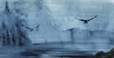 Vlucht boven het mistige meer door RodMacIver