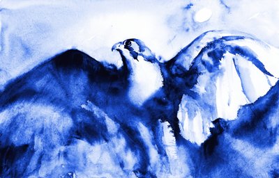 De hoogvliegende blauwe valk door RodMacIver