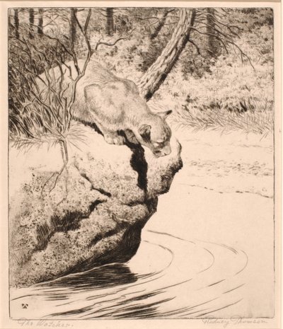 De Wachter door Rodney Thomson
