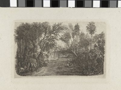 Landschap met beek en bomen op oevers door Rodolphe Bresdin