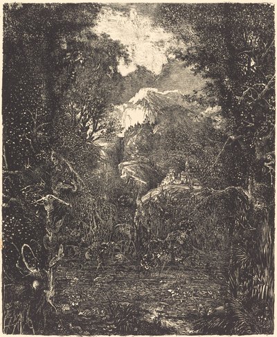 De steden achter het moeras door Rodolphe Bresdin