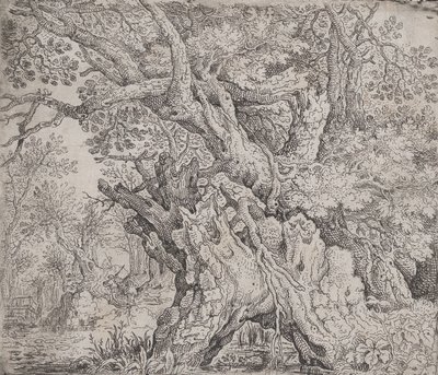 Knoestige Boom door Roelandt Savery