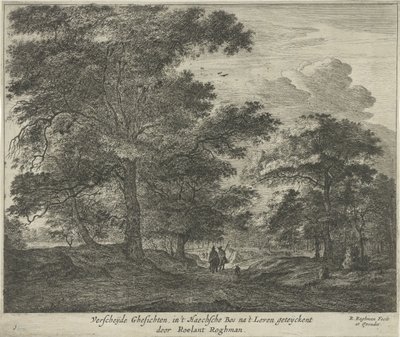 Bospad in het Haagse Bos door Roelant Roghman