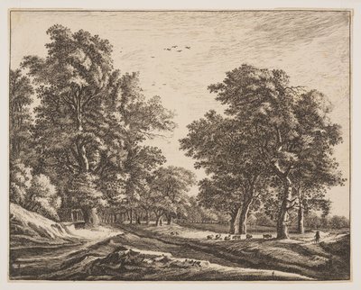 Nr. 4, uit Zes vergezichten in het Haagse bos door Roelant Roghman