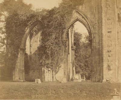  door Roger Fenton