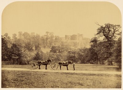  door Roger Fenton
