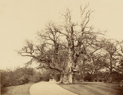 door Roger Fenton