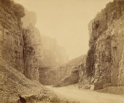 door Roger Fenton