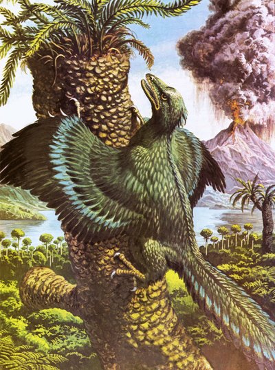 Archeopteryx door Roger Payne