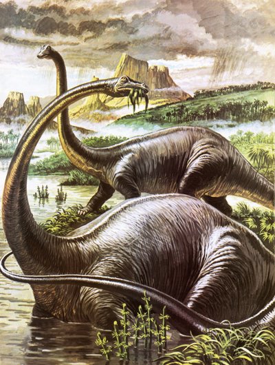Diplodocus door Roger Payne