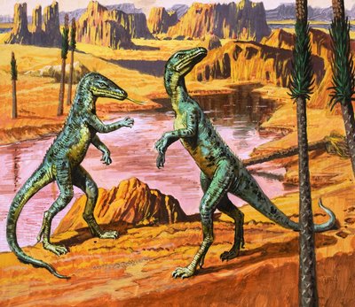 Saltoposuchus, illustratie uit 