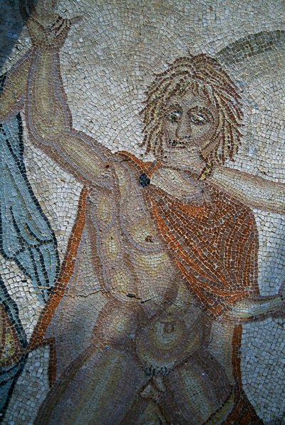 Ontvoering van Hylas door nimfen, mozaïek in Huis van Venus in Romeinse stad Volubilis (UNESCO Werelderfgoedlijst) door Roman