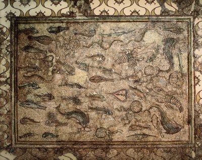 Romeinse kunst: mozaïek van vissen door Roman