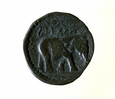 Carthaagse munt met een olifant. 3e of 2e eeuw v.Chr. door Roman