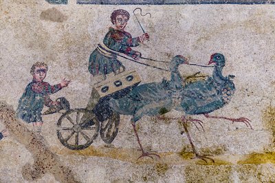 Wagenrace met karren getrokken door vogels door Roman