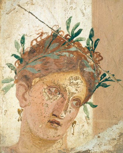 Gezicht van een jong meisje, uit Herculaneum, Campania. Romeinse beschaving, 20-10 v.Chr. door Roman