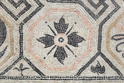 Geometrisch patroon van de Via san Rocchino domus, 2e eeuw na Christus (mozaïek) door Roman