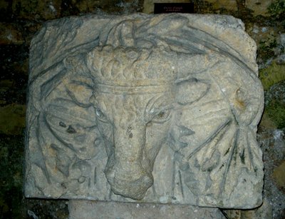 Hoofd van een stier door Roman