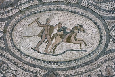Hercules en de Amazonekoningin, van de vloer van 