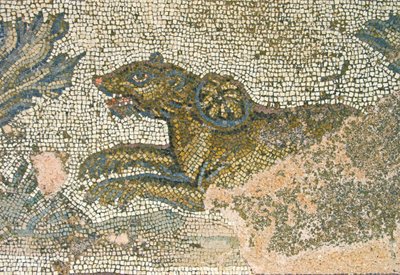 Jachtscène, detail van een leeuwin, Huis van Dionysos, Paphos, Cyprus mozaïek door Roman