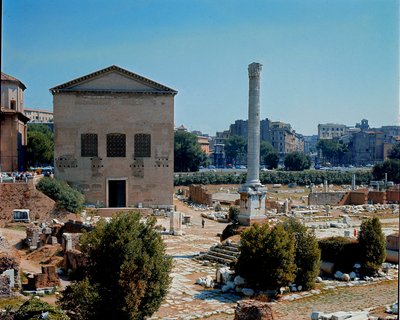 Romeins Forum: uitzicht op de Curia, vergaderplaats van de Senaat door Roman