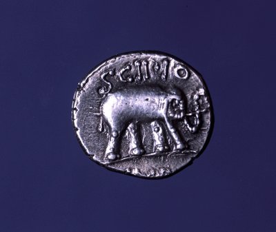 Zilveren munt met een olifant, fetisjdier van de Scipions. Lucius Caecilius Metellus veroverde de Carthaagse olifanten in 251 v.Chr. 47-46 v.Chr. door Roman