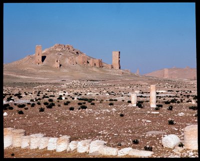 Uitzicht op de torengrafen van Iamblichus en Elahbel door Roman