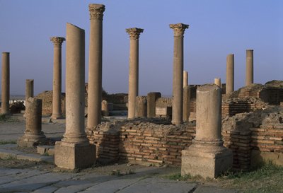 Uitzicht op de Bibliotheek, ca. 100 AD, Hoge Keizerlijke Periode (27 BC-395 AD) door Roman Imperial Period