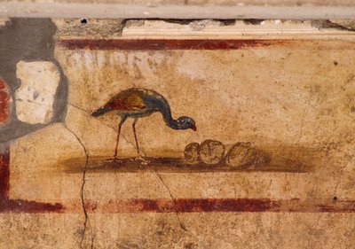 Fresco met vogel uit peristylium in Huis van Caius Julius Polybius, Pompeii (UNESCO Werelderfgoedlijst) door Roman Roman