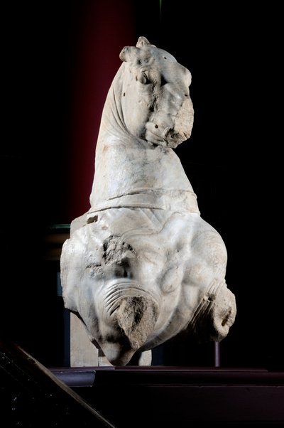 Voorkant van een paard (marmer) door Roman Roman