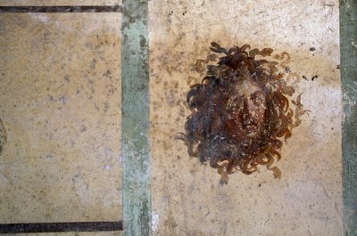 Gorgonenhoofd, fresco uit Huis van Caius Julius Polybius, Pompeii (UNESCO Werelderfgoedlijst) door Roman Roman