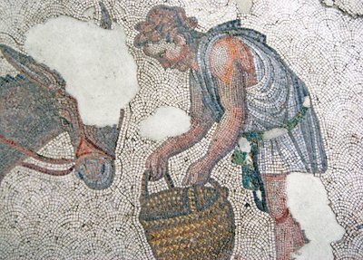 Mozaïek met een man die zijn muilezel voedt, Arasta Bazaar, Sultan Ahmet Moskee, Istanbul door Roman Roman