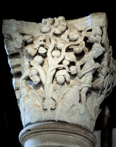 Paradijs: een vijgenboom en een appelboom, kapiteel van het koor (beeldhouwwerk) door Romanesque