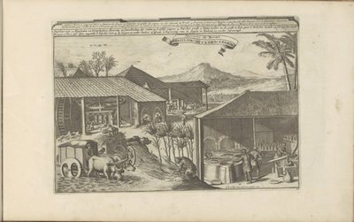 Braziliaanse suikerwerkers door Romeyn de Hooghe