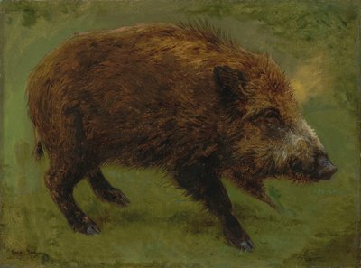 Frans:  Le sanglier Wild zwijn door Rosa Bonheur
