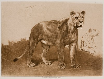  door Rosa Bonheur