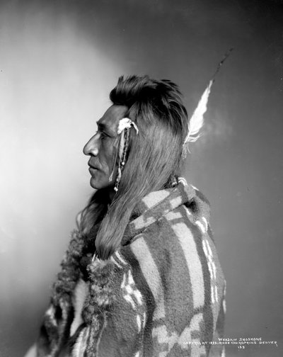 Weasaw Shoshone door Rose and Hopkins Studio