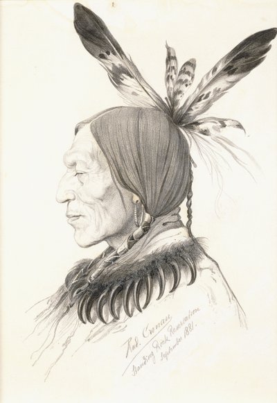 Heu-Topa, Vier Hoorns of Jagoo, De Verhalenverteller, Hoofd van de Hunkpapa Sioux door Rudolf Cronau
