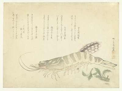 Kreeft en Inktvis door Ryuryukyo Shinsai