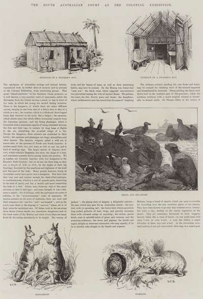 Het Zuid-Australische Hof op de Koloniale Tentoonstelling door S.T. Dadd
