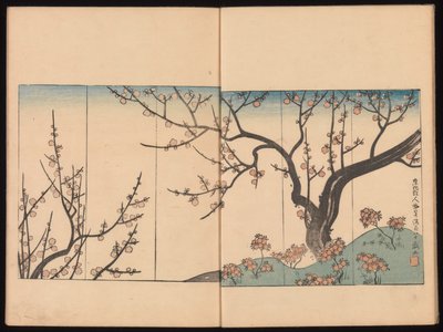 door Sakai Hoitsu