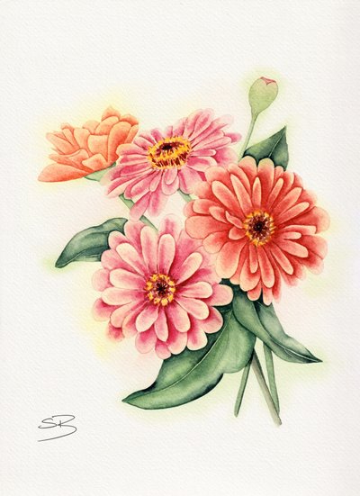 Kleurrijk boeket met zinnia’s door Salome