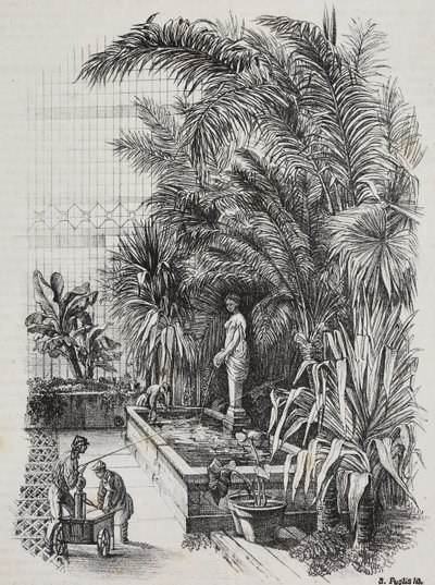 Laocoon en zijn zonen, Romeins standbeeld, lithografie uit Poliorama Pittoresco, nr. 1, 13 augustus door Salvatore Puglia