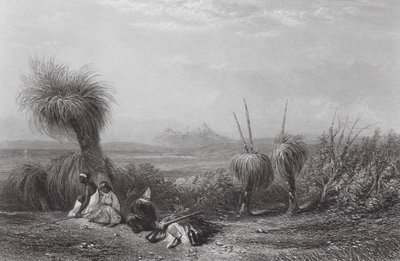 Australië: Grasboomvlakten door Samuel (after) Prout