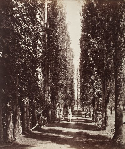  door Samuel Bourne