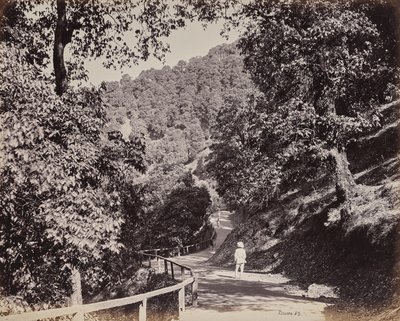  door Samuel Bourne