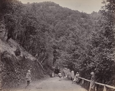 Shimla. The Mall of de hoofdstraat door Samuel Bourne