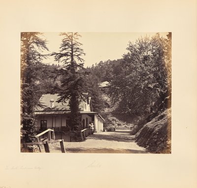 Simla; The Mall, Combermere Ridge door Samuel Bourne